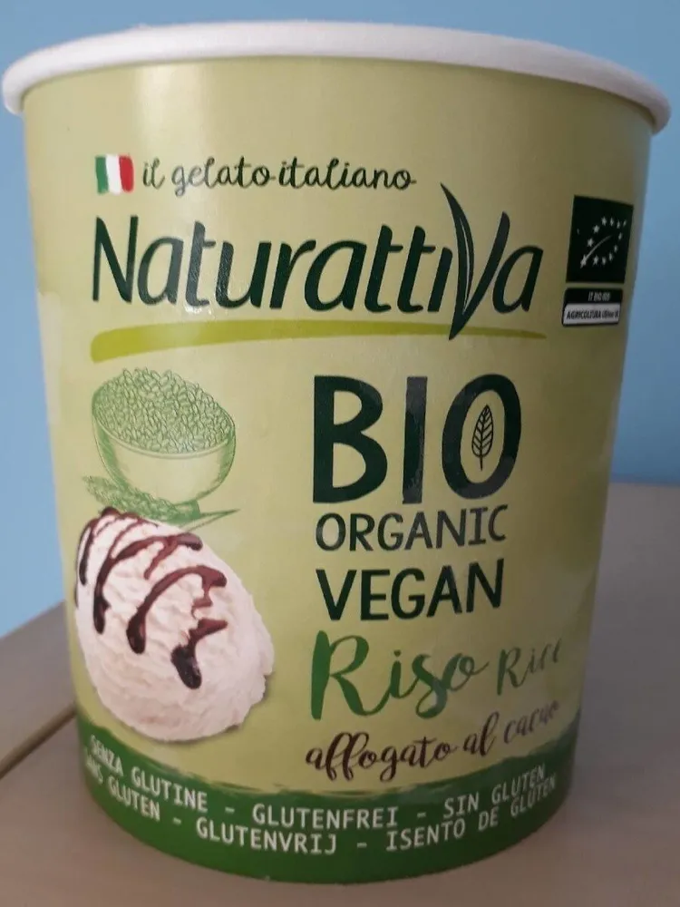 Glace bio vegan au riz