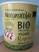 Glace bio vegan au riz