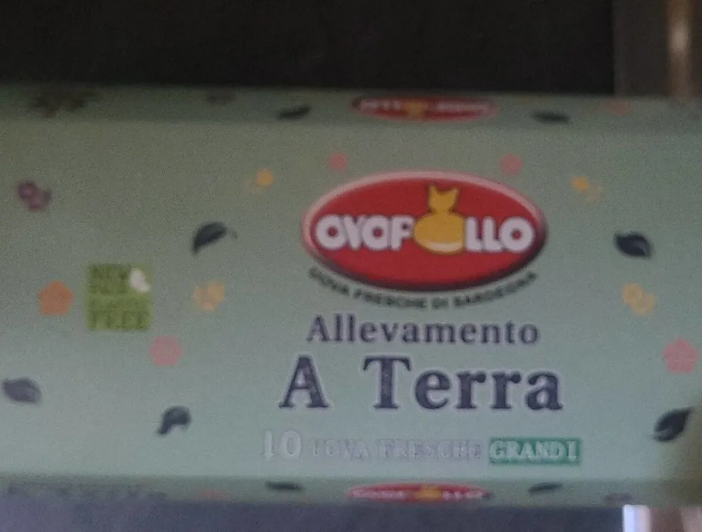 Uova