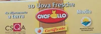 Ovopollo uova fresche