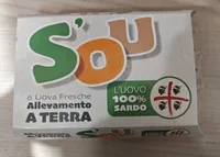 Uova da allevamento a terra