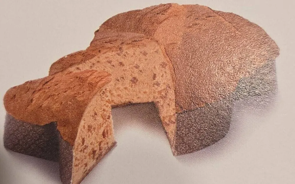 Colombe bio avec abricots