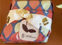 Colomba al cioccolato