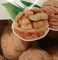 Noci Lara