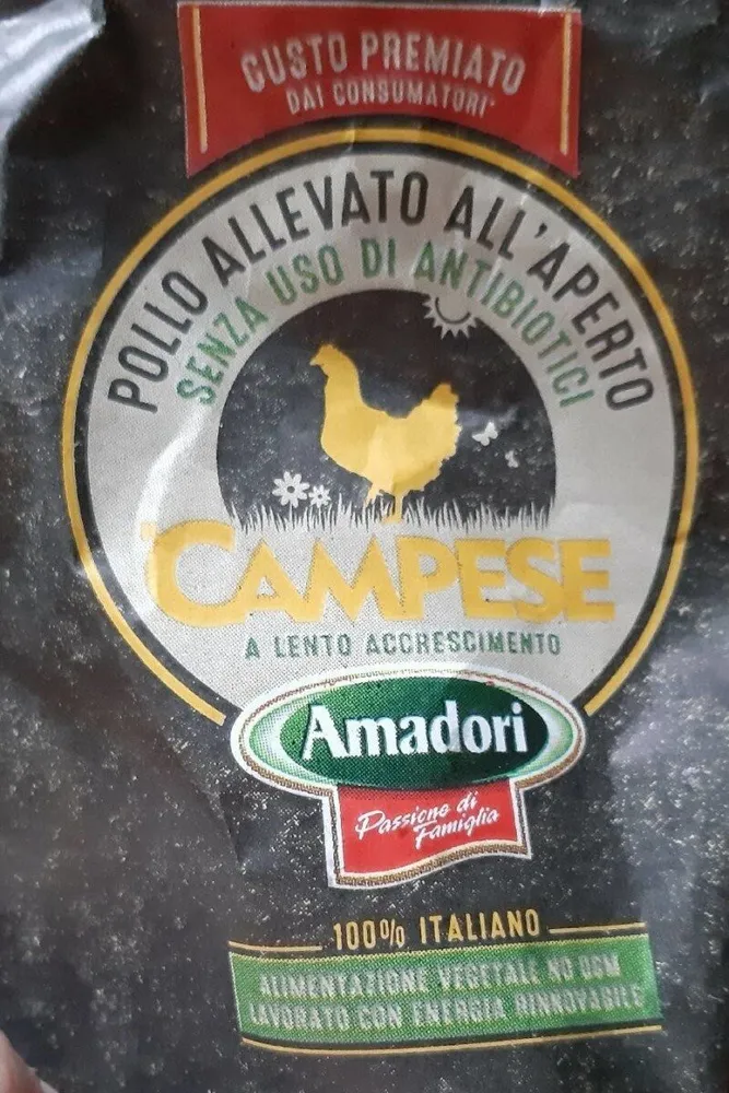Pollo