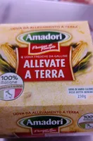Uova allevamento a terra