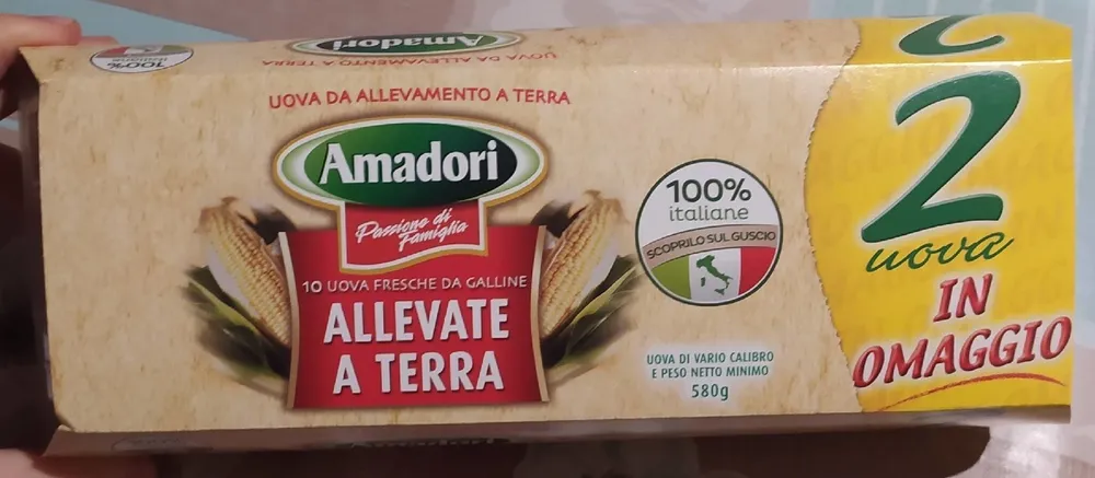 Uova fresche allevate a terra