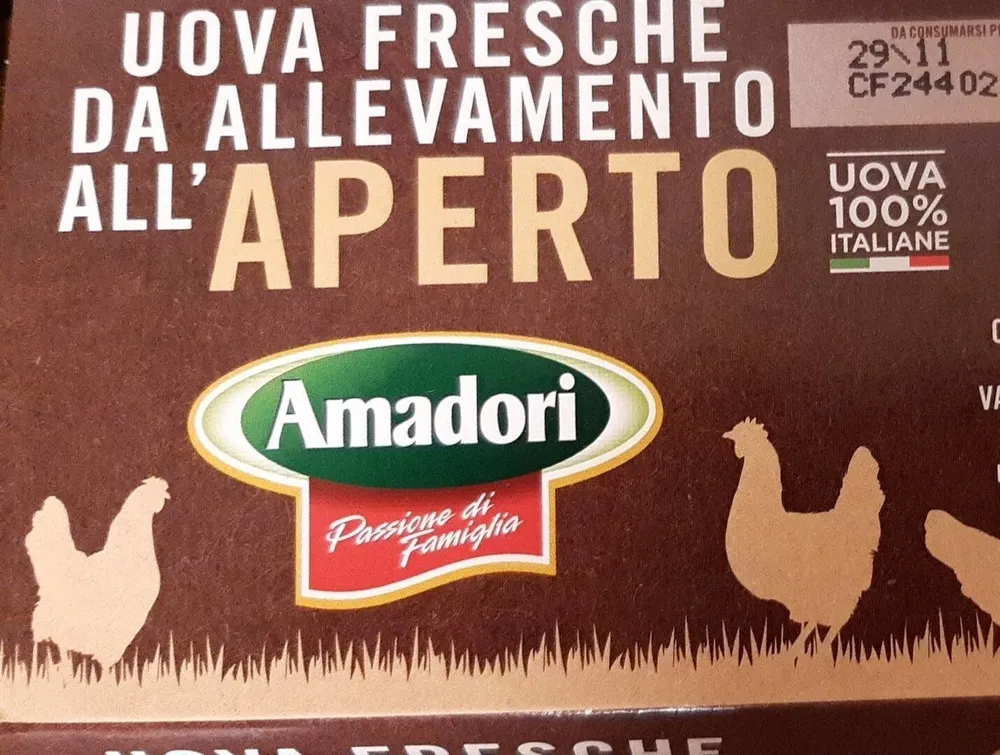 Uova fresche da allevamento all'aperto