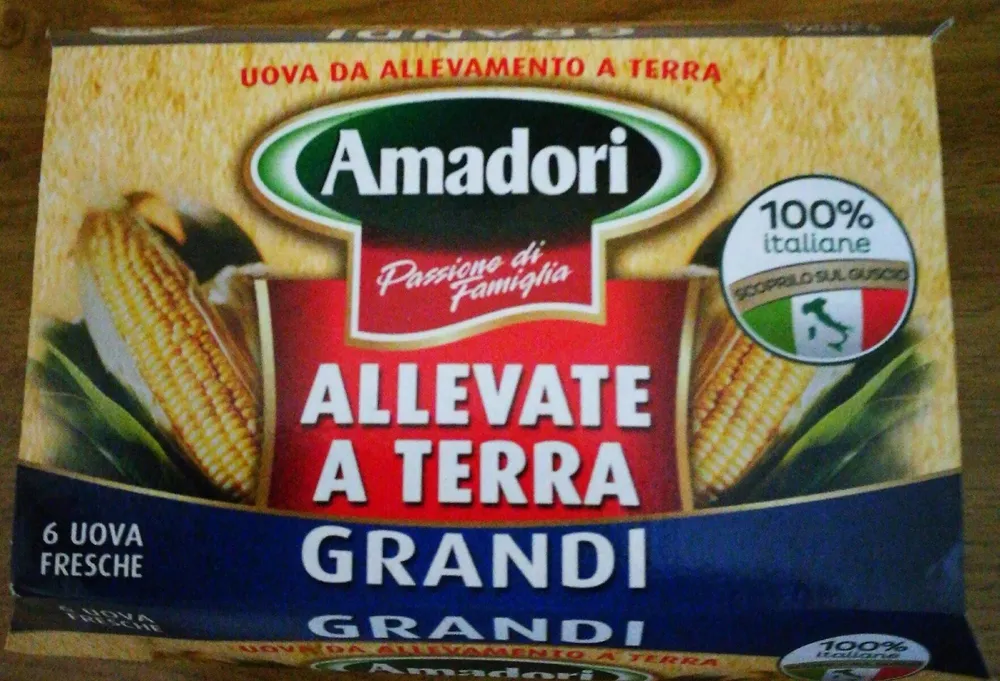 Uova da allevamento a terra