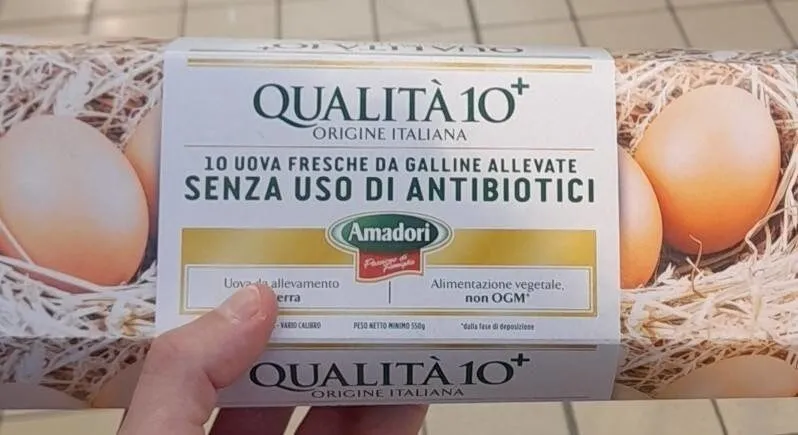 10 uova fresche