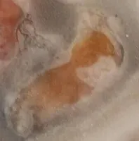 Cocktail di mare