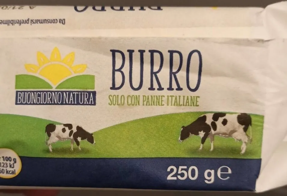 Burro