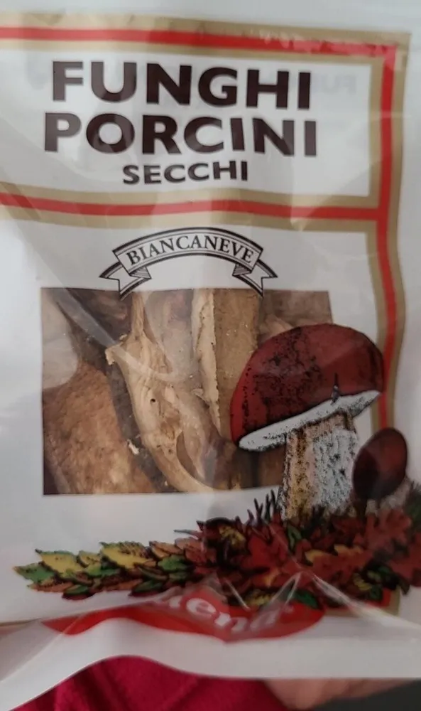 Funghi porcini secchi