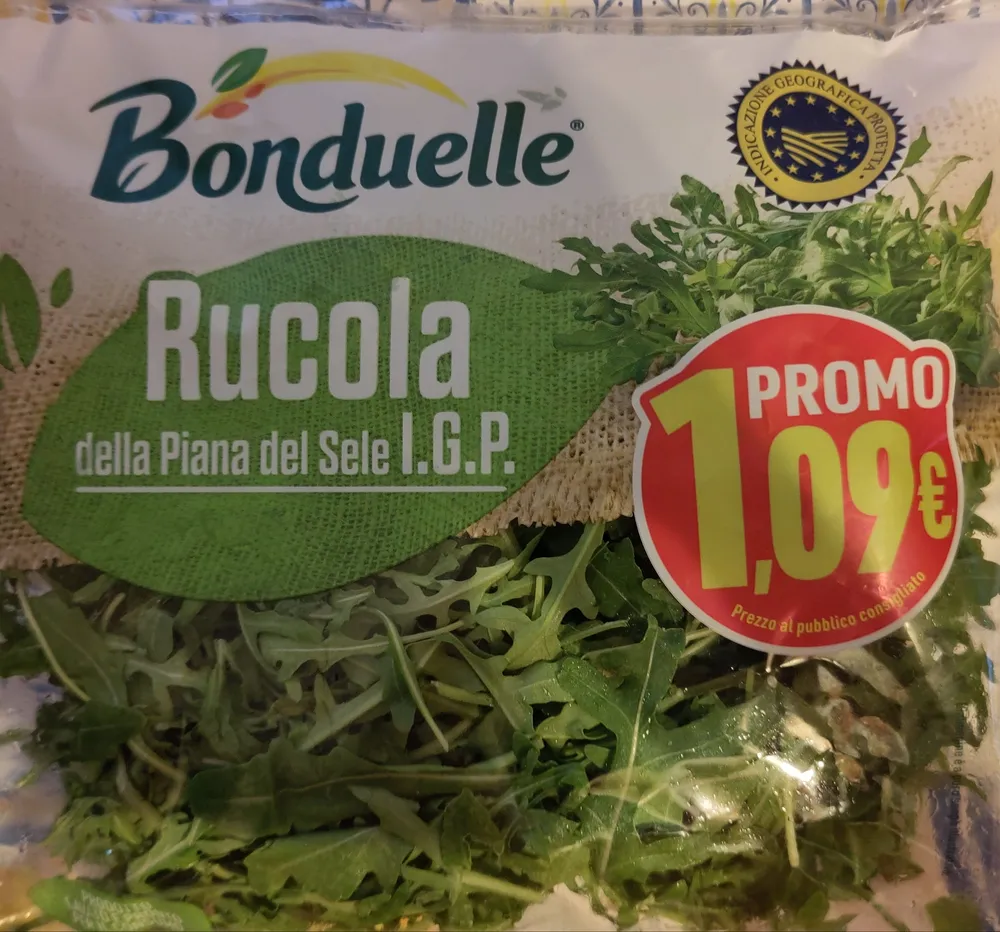Rucola