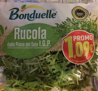Rucola