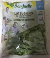 Lattughino