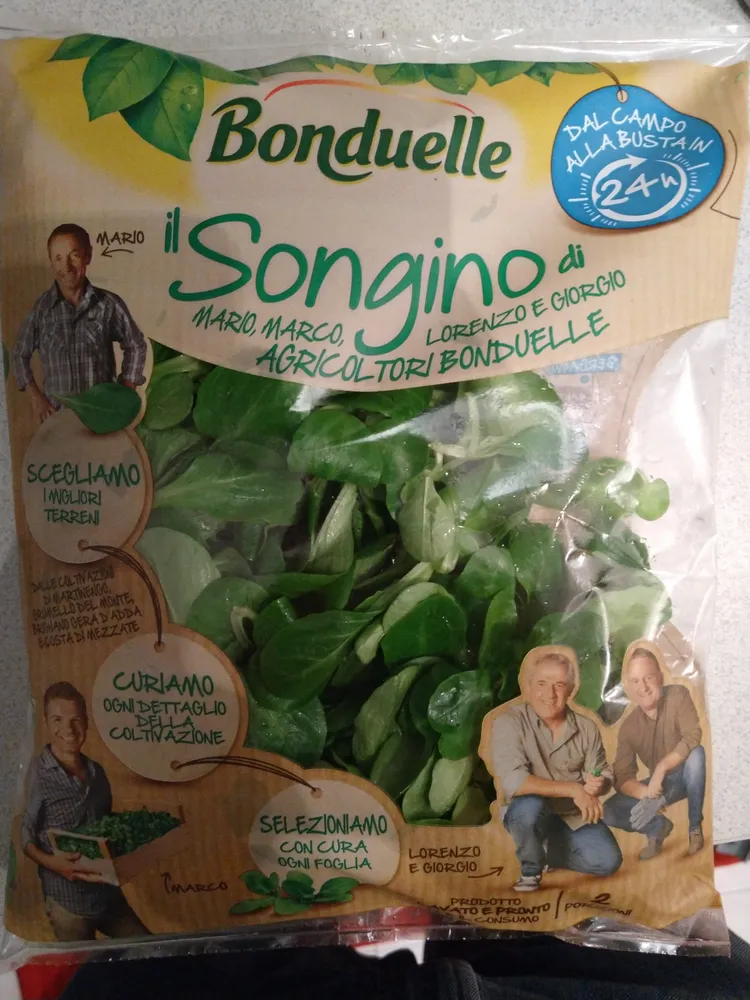 Songino