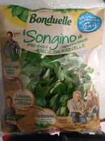 Songino