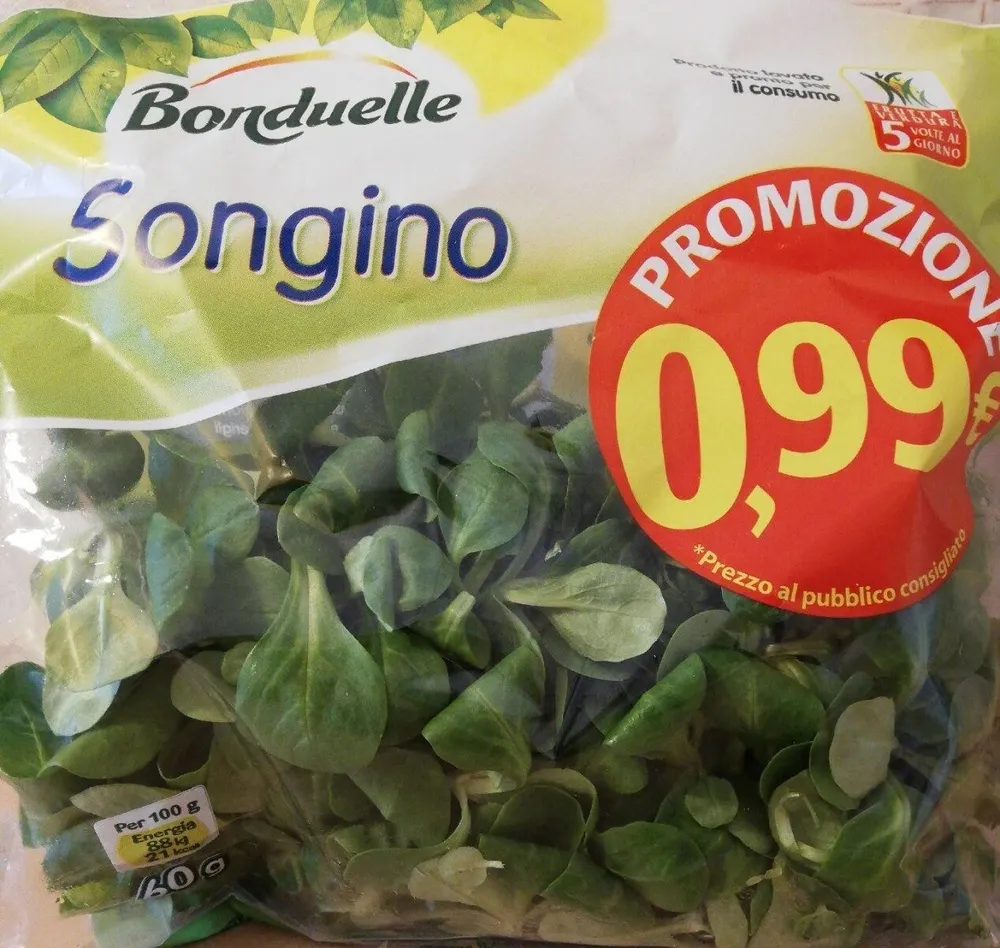 Songino