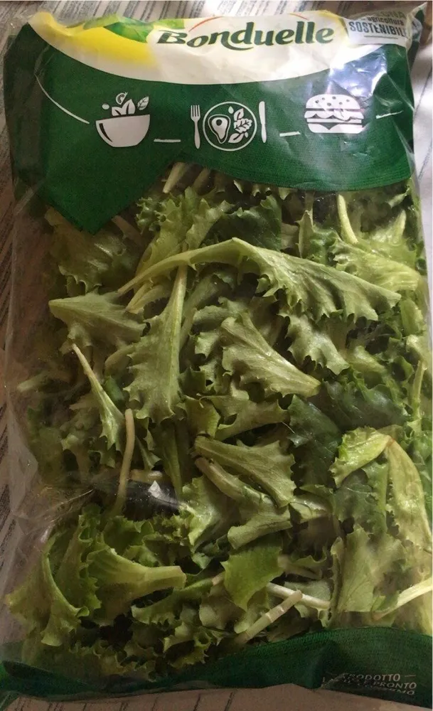 Insalatina Novella