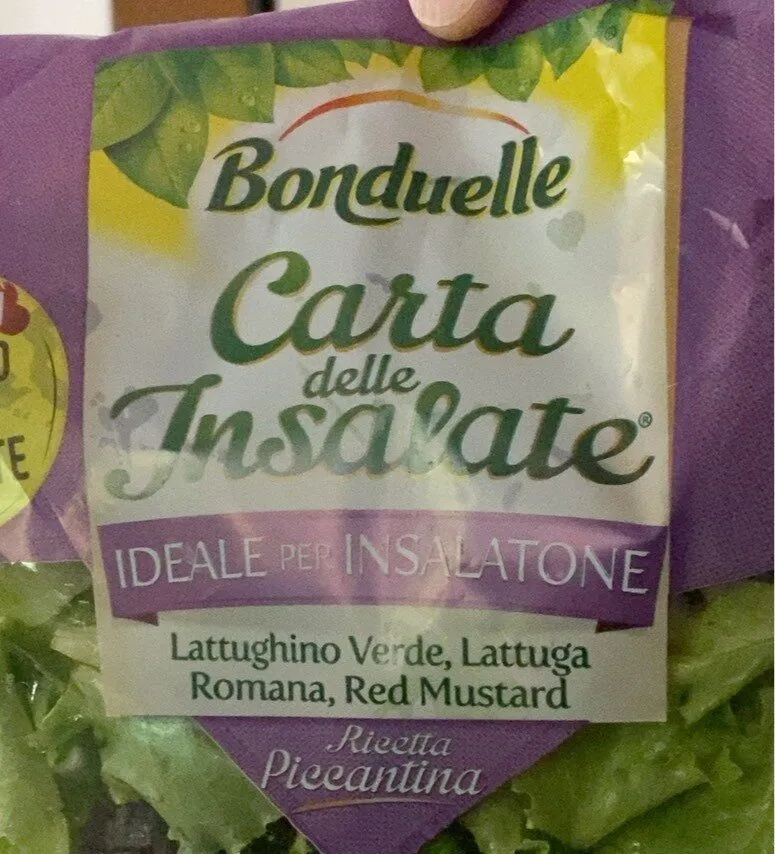Carta delle insalate piccantina
