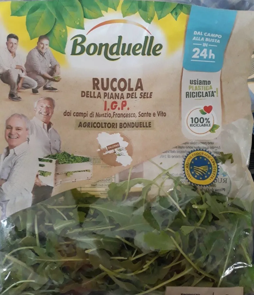 Rucola