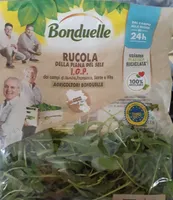 Rucola