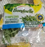 Rucola della piana del sole I. G. P.