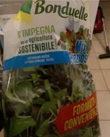 Insalata