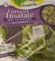 Lattughino verde red Mustard e lattuga Romana