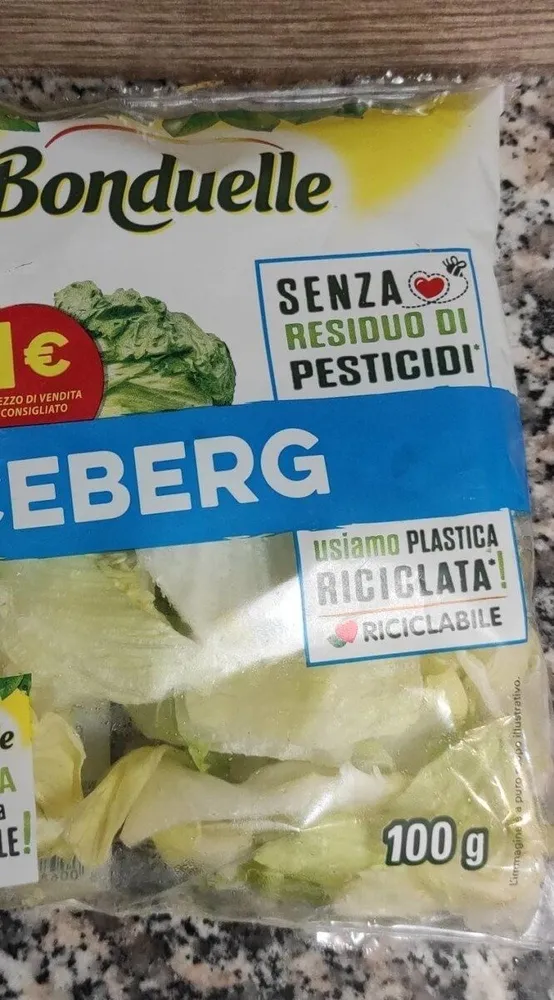 Iceberg