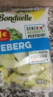Iceberg