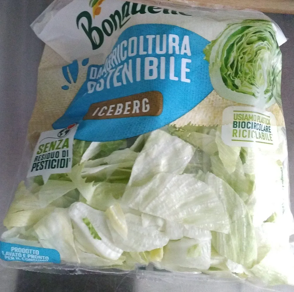 Insalata