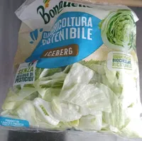 Insalata