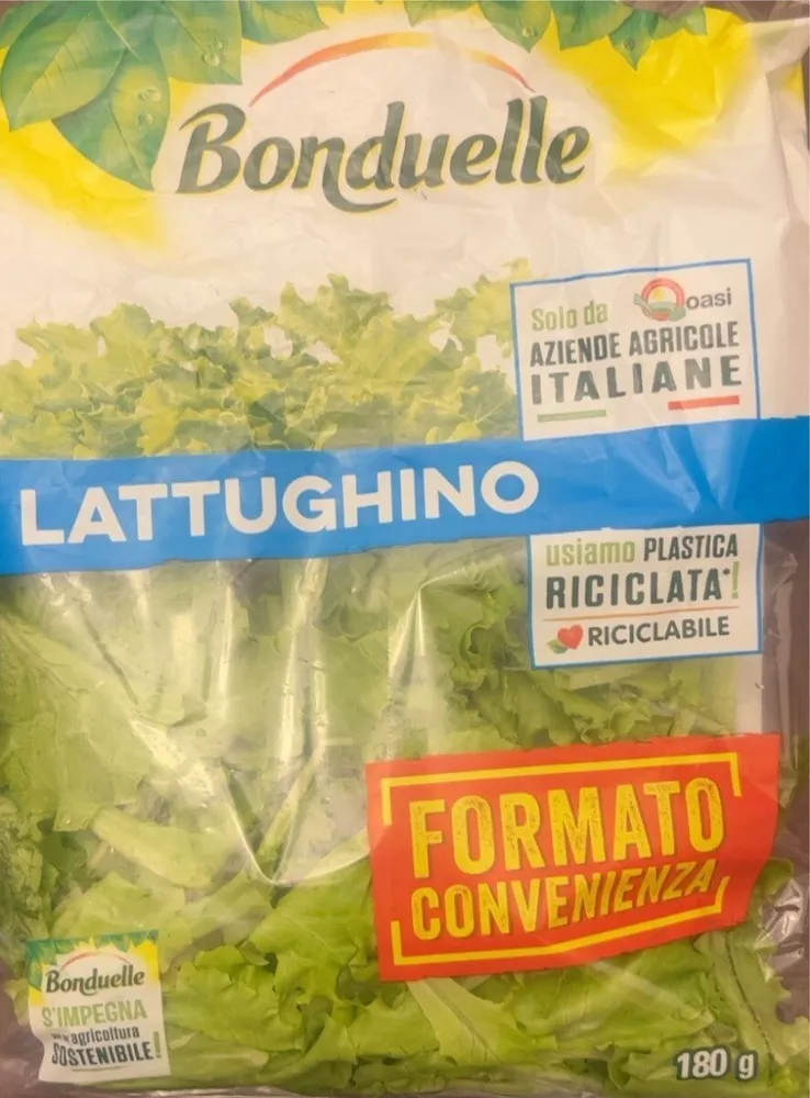 Lattughino