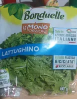 Insalata