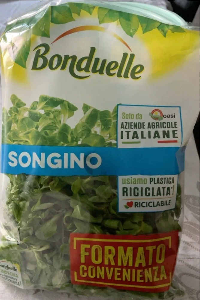 Songino