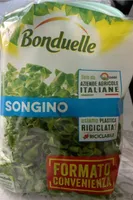 Songino
