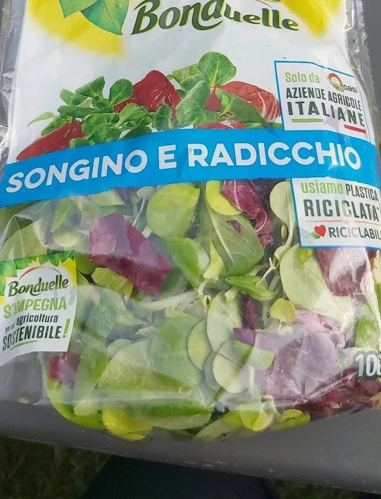 songino e radicchio