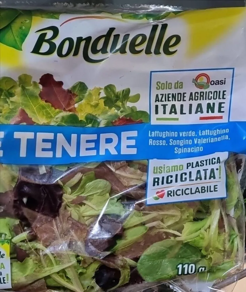Carta delle insalate ricetta olive