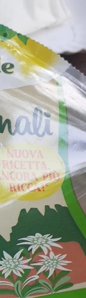 Bordelli le regionali