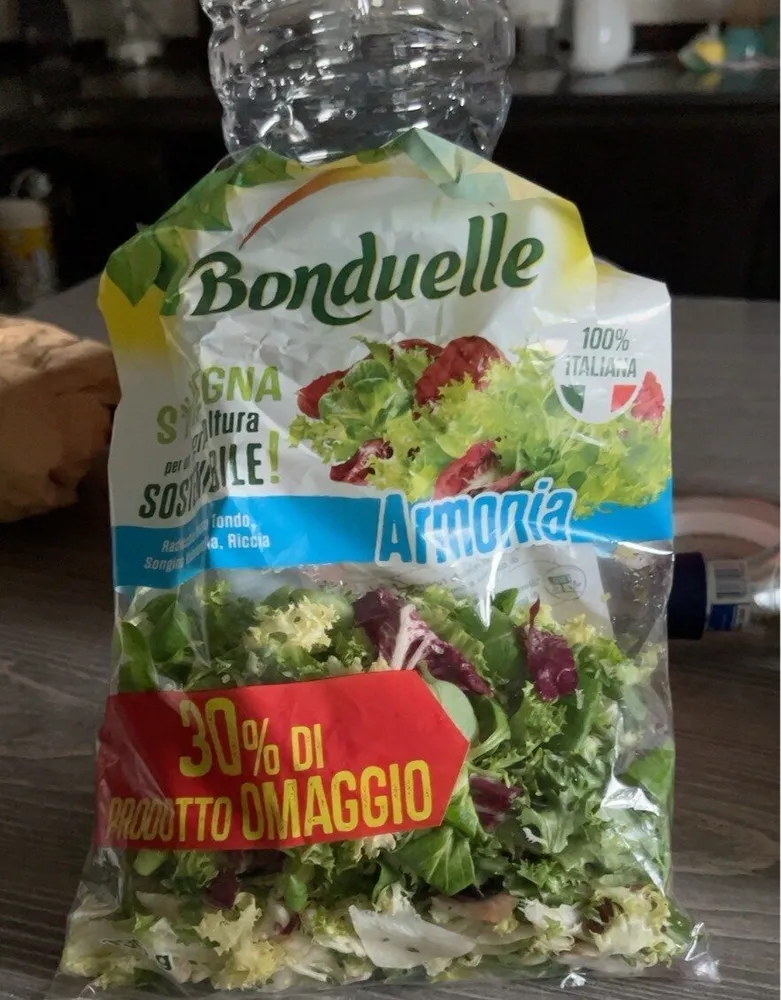 Insalata Armonia