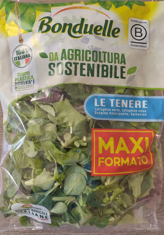 insalata le tenere