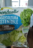CUOR DI LATTUGA