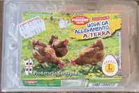 Uova da allevamento a terra