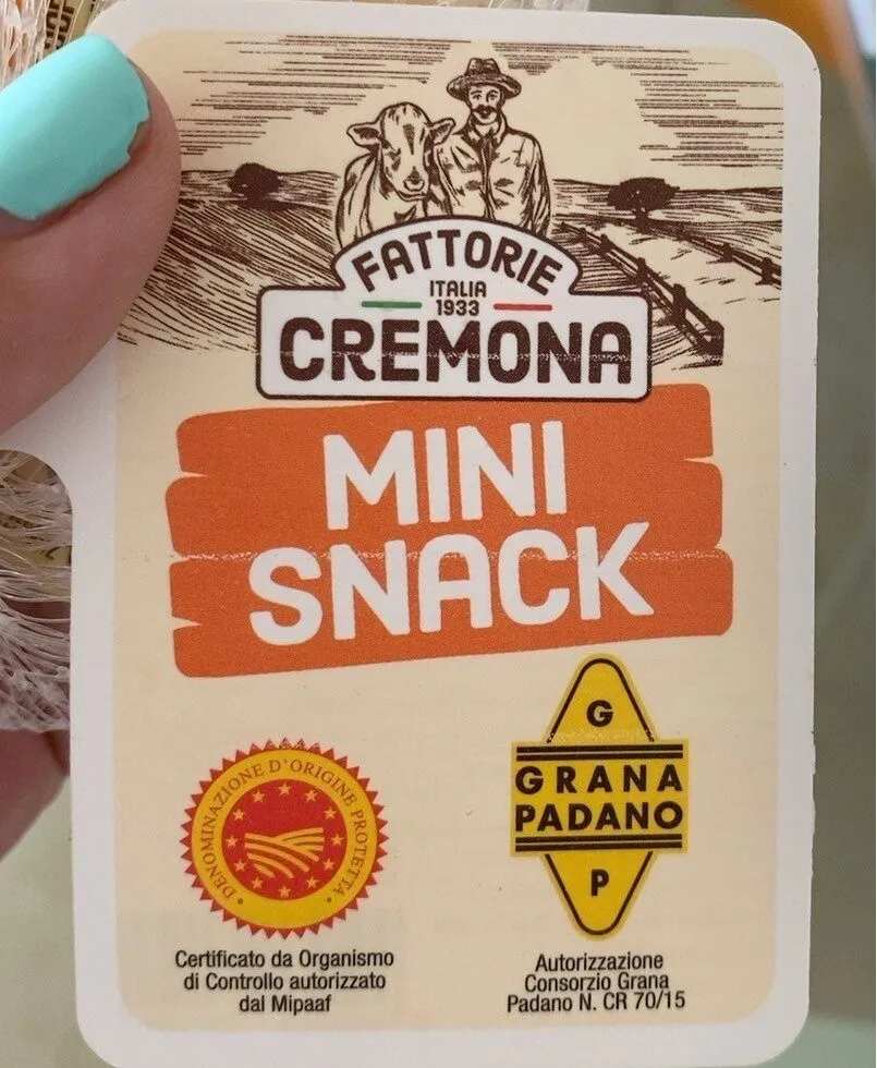 Mini snack grana padano