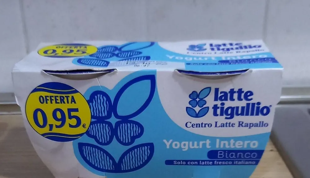 Yogurt intero bianco
