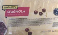 Spagnola