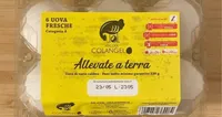 Uova fresche