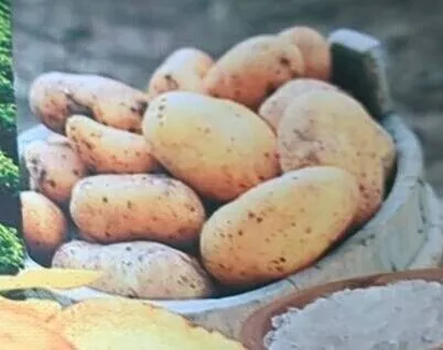 Vintage potatoes